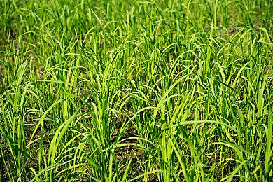 FPS《量子误差》发布新预告 游戏几乎接近完成