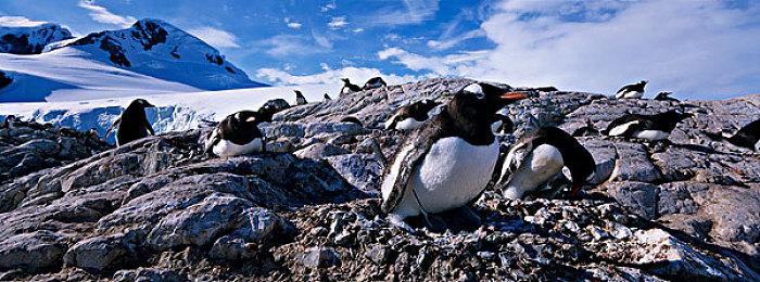 《使命召唤：战区2》新地图掉帧严重 已计划修复