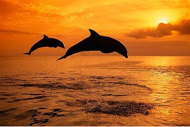 《极限竞速：地平线5》带你体验云端风火轮，更有货拉拉活动火热来袭