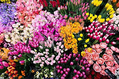 粉丝呼吁Insomniac开发蜘蛛格温独立游戏