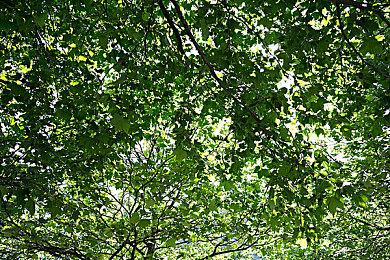 潜行还是射爆？轻肉鸽潜行动作《伪信号(Fake Signal)》STEAM页面公开